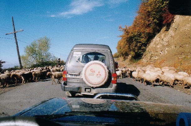 Standard road hazard