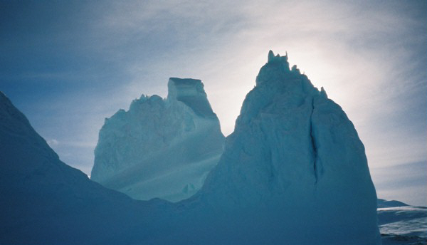 Sea ice at the fjord edge