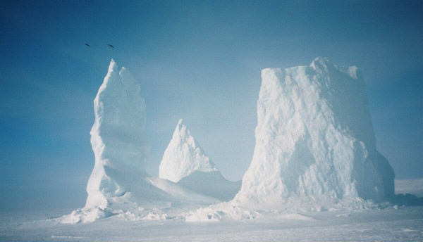 Crows, Iceburg, Broughton Island