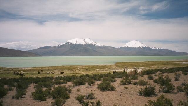 The Salar de Surire