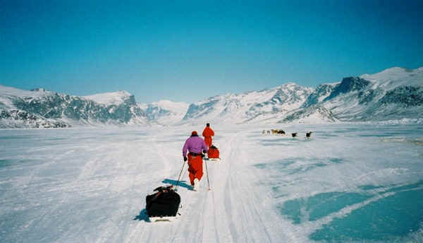 Setting out past tethered huskies